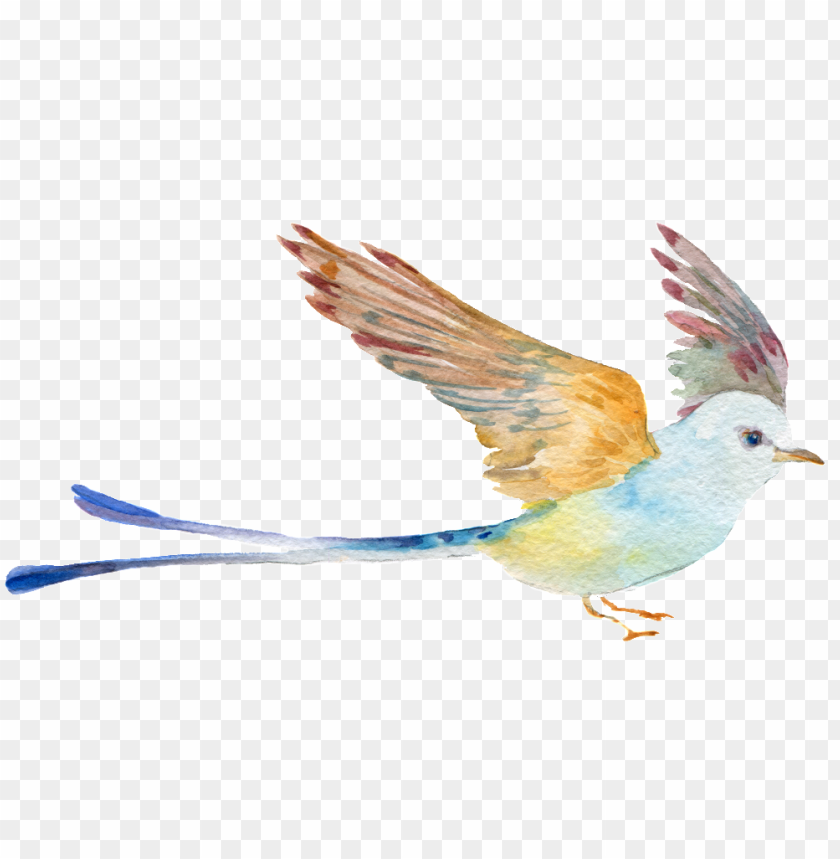 hands, pattern, birds, design, watercolor flower, illustration, eagle
