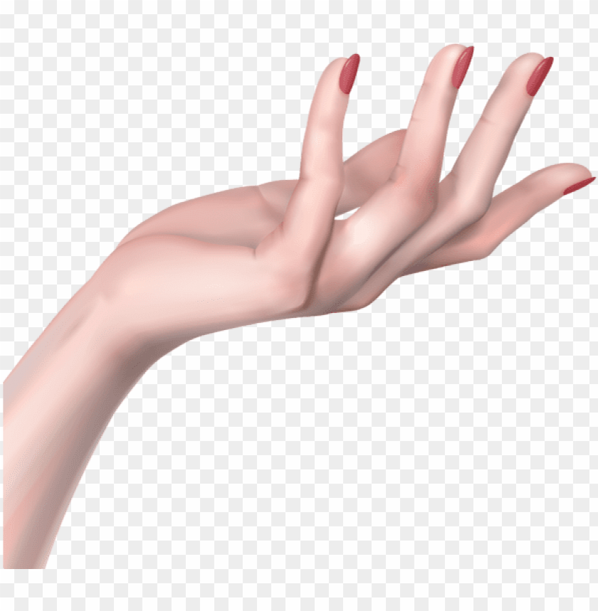hands, woman, arm, girl, fist, female, palm