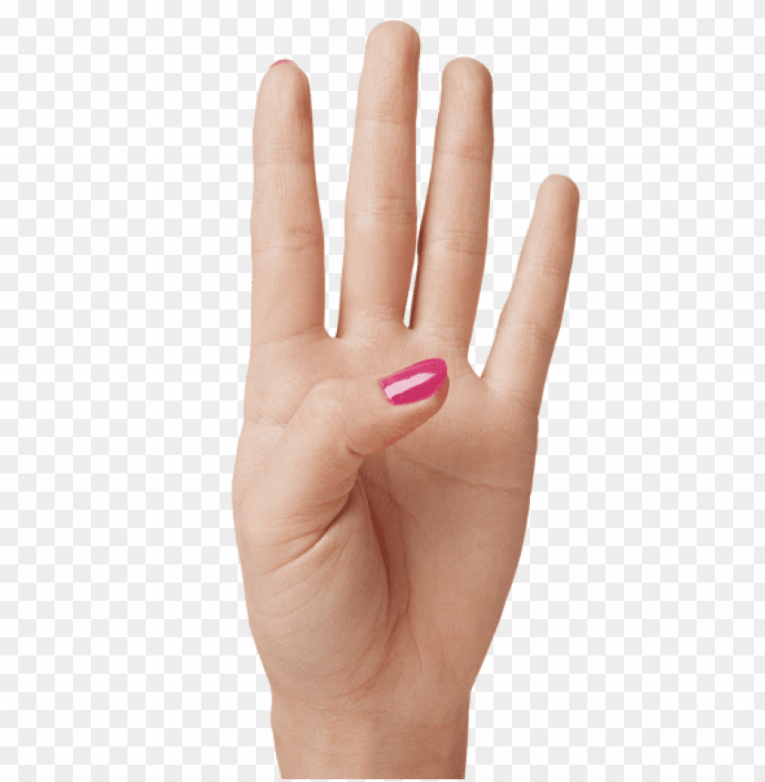 four hand PNG transparent image download, size: 2485x4449px