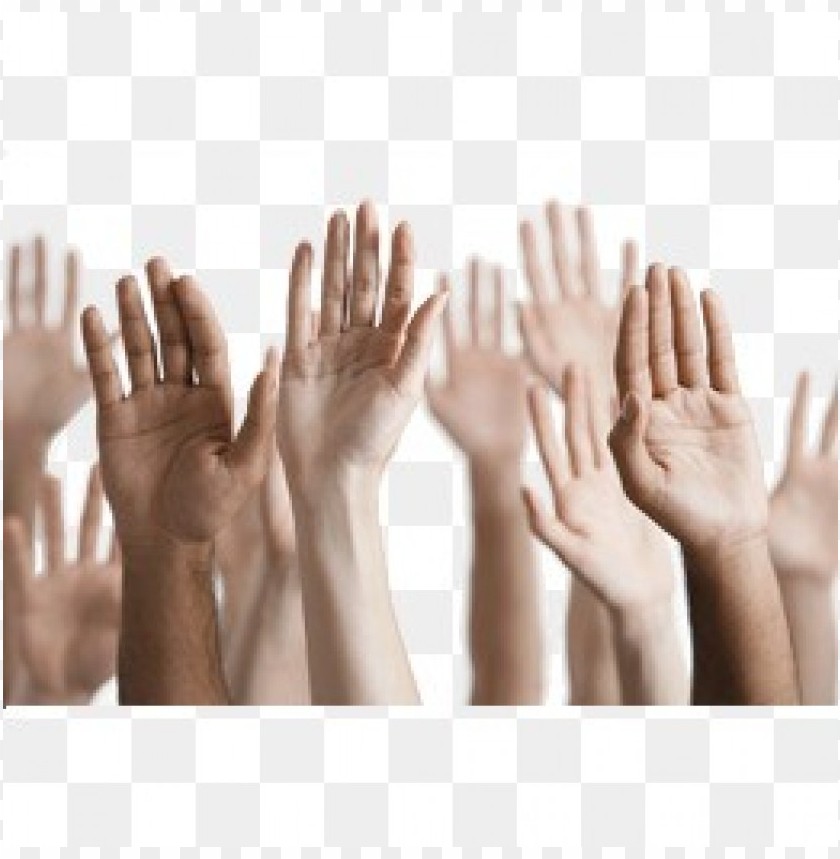 Transparent background PNG image of hands - Image ID 38575