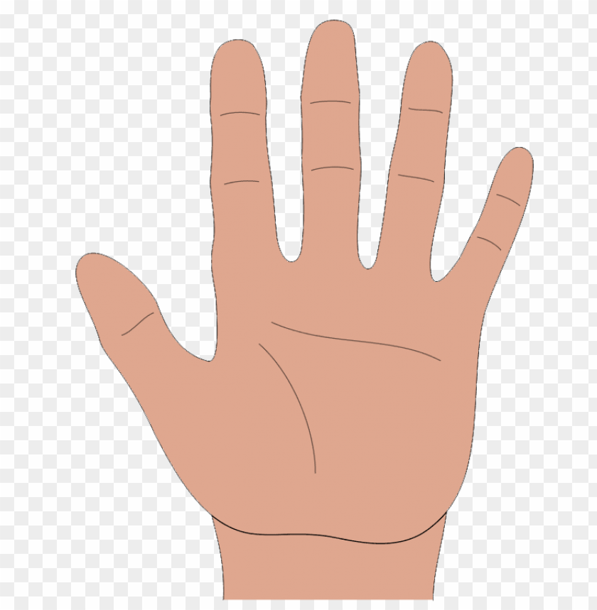 Transparent background PNG image of hands - Image ID 38578
