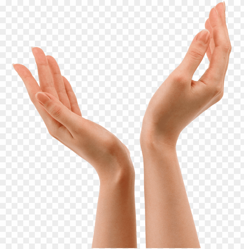 people, hands, hands v sign, 