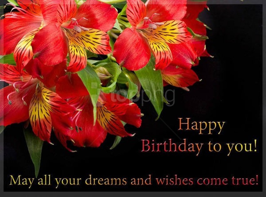 happy birthday greeting card with orchids background best stock photos |  TOPpng