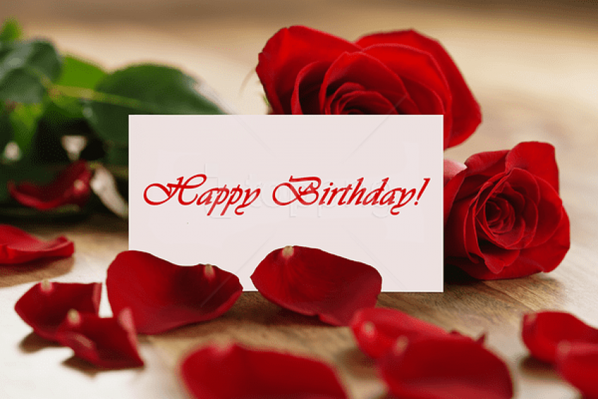 Happy Birthday Greeting Card With Roses Background Best Stock