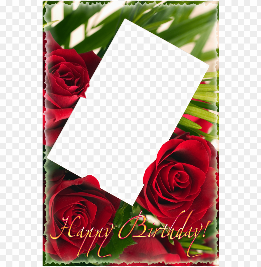 Happy Birthday Png Frame With Roses Background Best Stock Photos | TOPpng