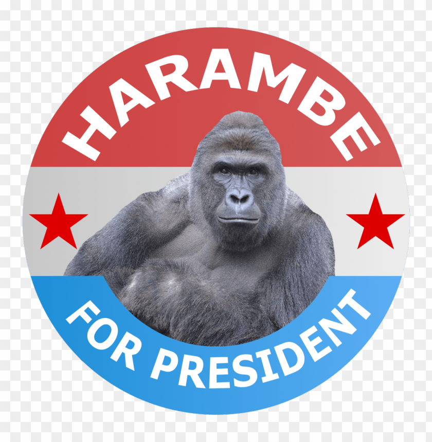 Harambe For President PNG Transparent With Clear Background ID 473544