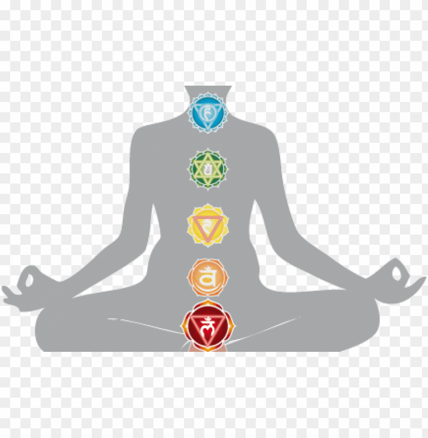 free PNG harmonizing the energy body chakra anatomy root chakra - third eye anatomy PNG image with transparent background PNG images transparent