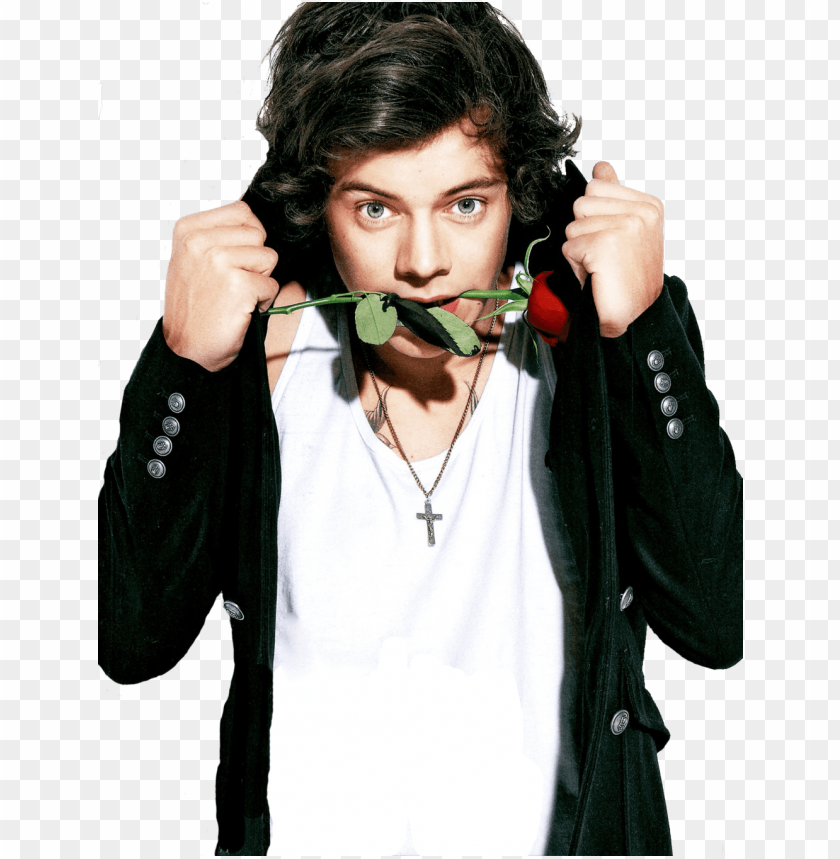 free PNG harry styles favorite color png harry styles favorite - harry styles with rose PNG image with transparent background PNG images transparent