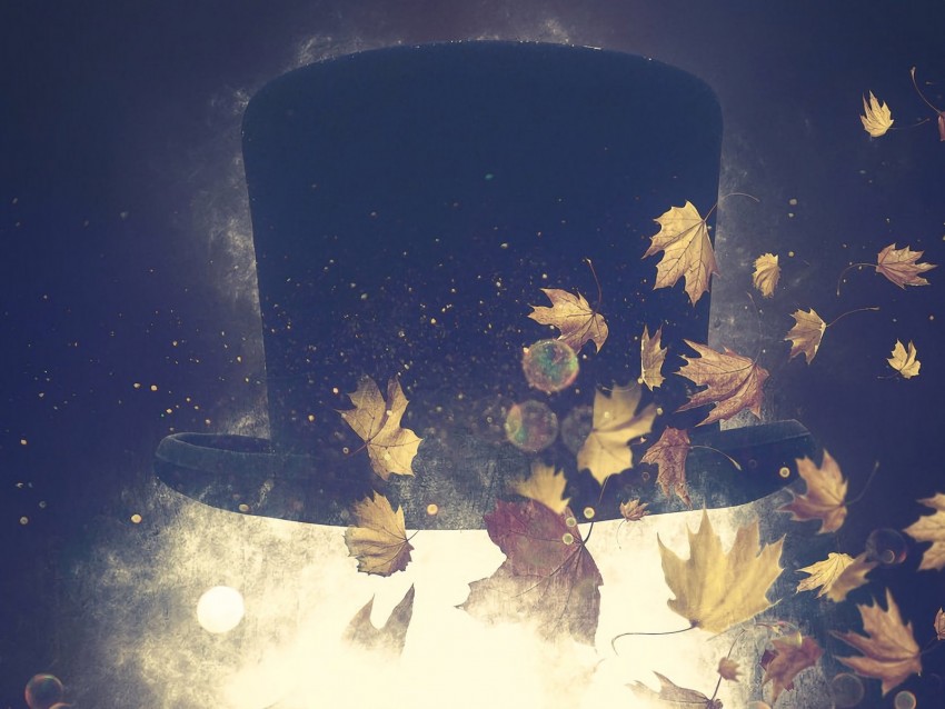hat, autumn, foliage, art, surrealism