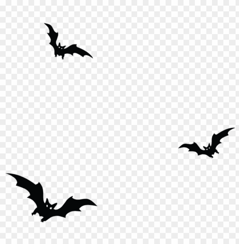 Download Haunted Bats Png Vector Png Images Background
