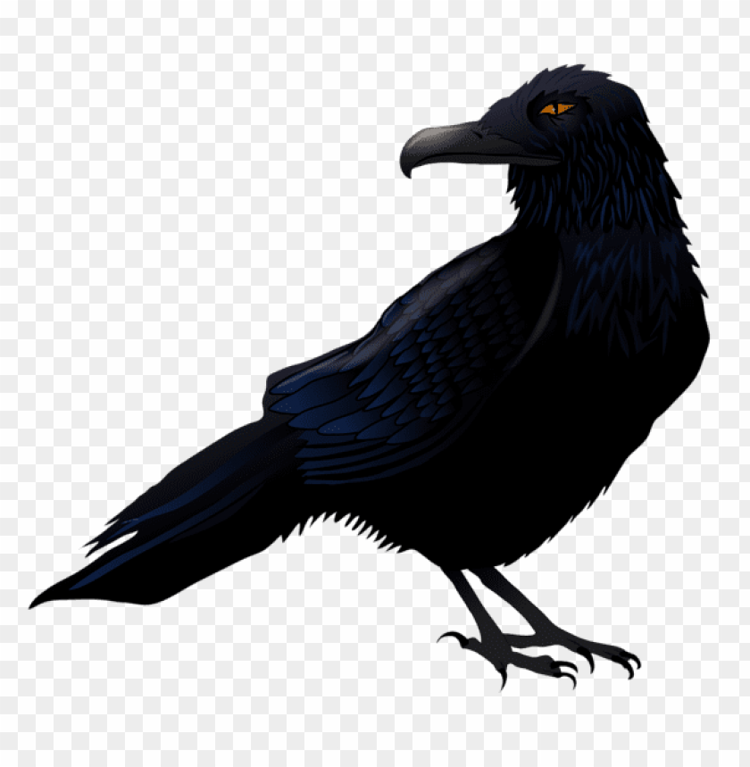 Download Haunted Raven Png Vector Png Images Background
