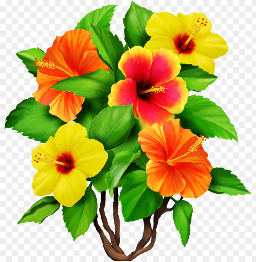 hawaii, roses, hibiscus flower, vintage, leaves, garden, plumeria