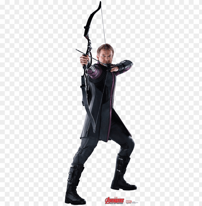 hawkeye png high quality image hawkeye PNG transparent with Clear Background ID 245132