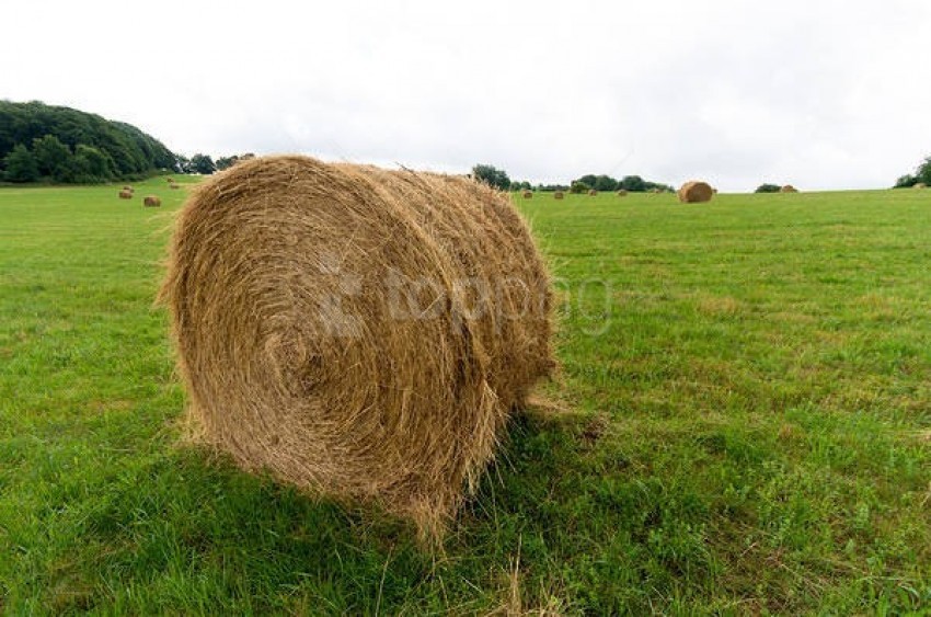 hay bale and grass background best stock photos@toppng.com