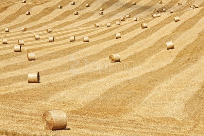 hay bales background best stock photos@toppng.com