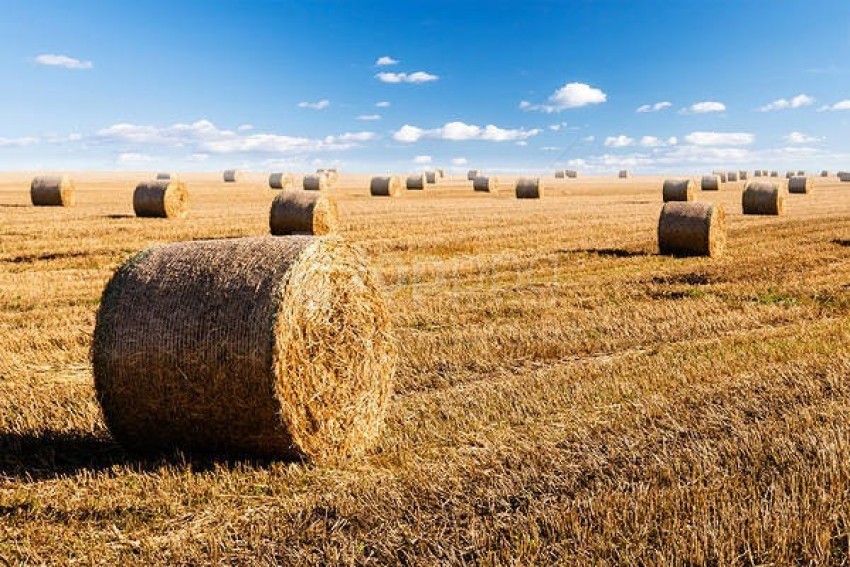 hay bales and sky background best stock photos - Image ID 59160