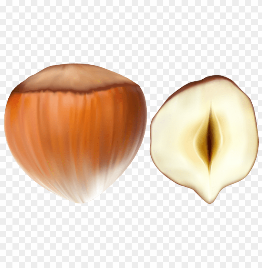nuts 