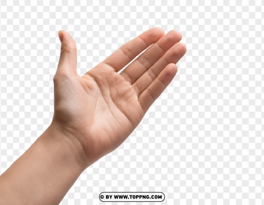 Hd Sideways Hand Palm Gesture PNG Transparent Background