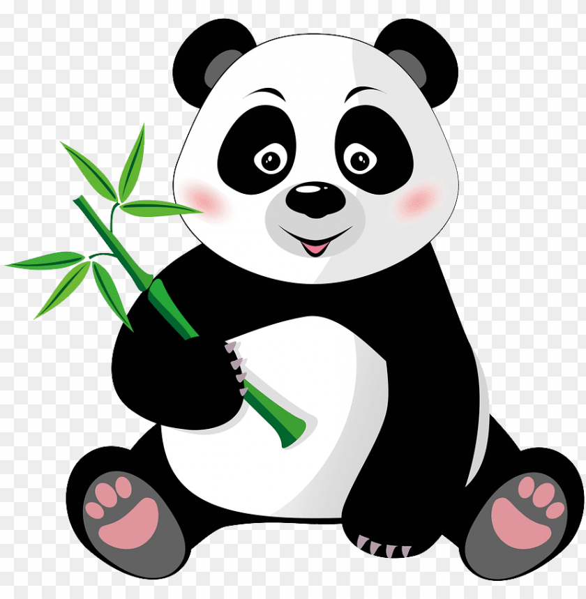 Hd Transparent Images Pluspng Image Library Stock Panda Bear Clipart Png Image With Transparent Background Toppng