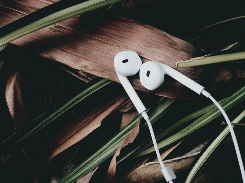 headphones, music, audio, leaves