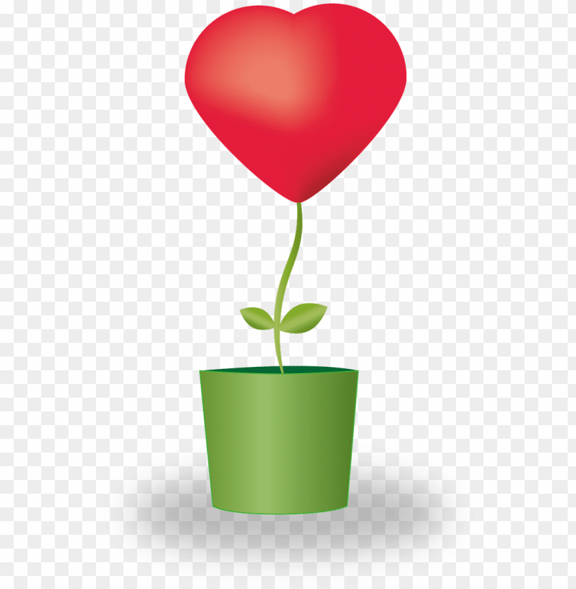 heart flower potted plants love mother's day - vaso de flor com coração, mother day