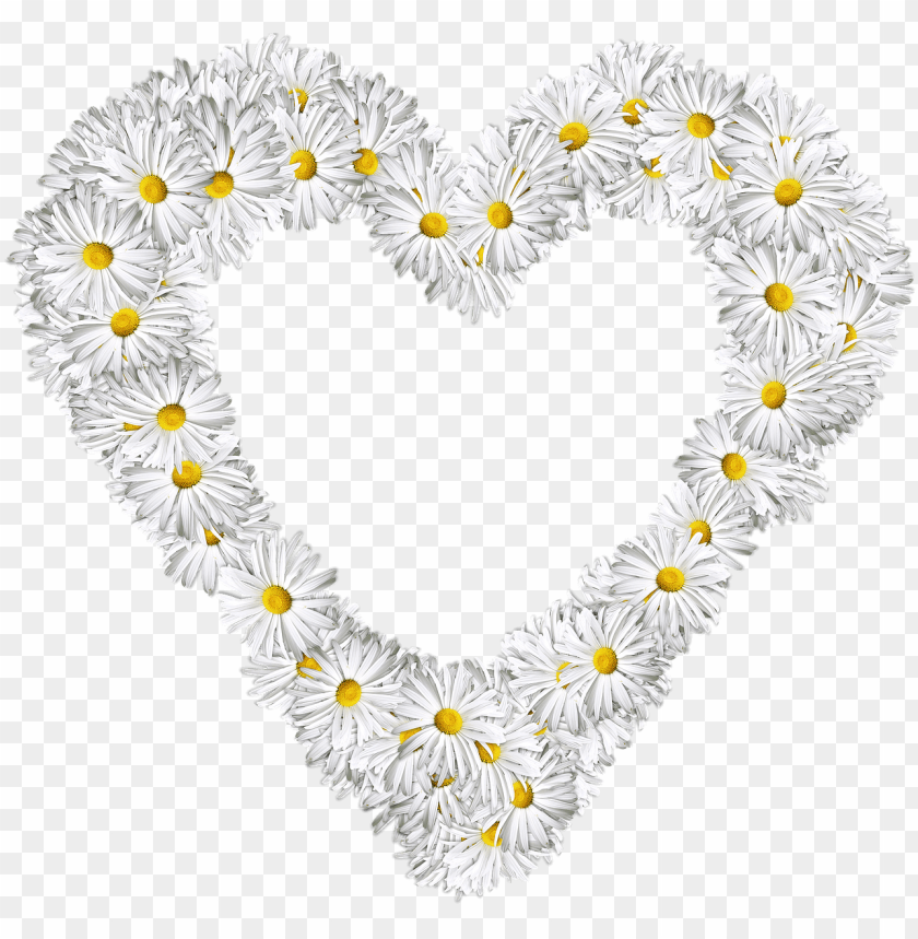 people, heart outline, heart made of marguerites, 