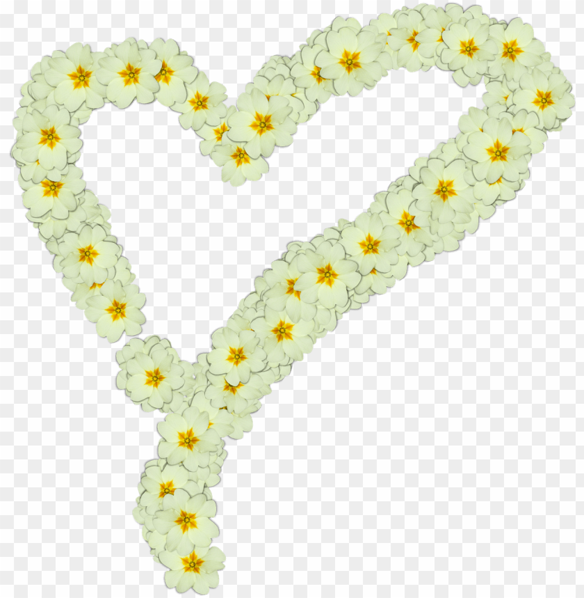 free PNG Download heart made of white flowers png images background PNG images transparent