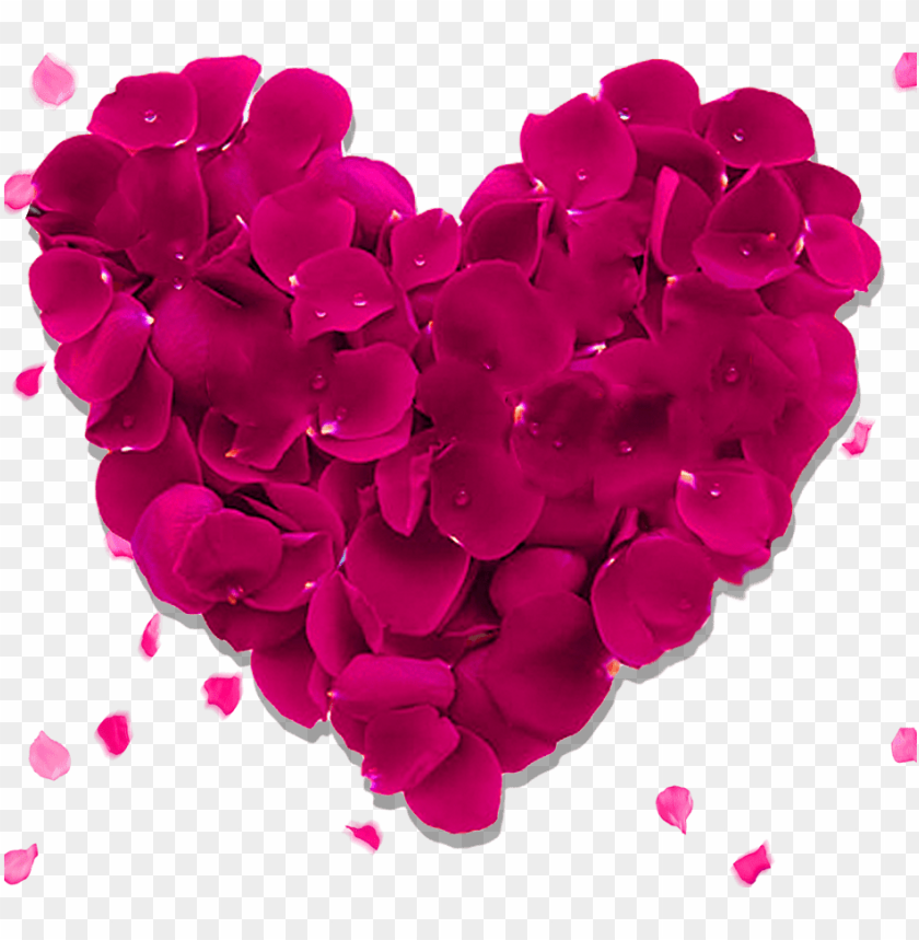 heart rose png download image red aesthetic valentines day PNG transparent with Clear Background ID 301157