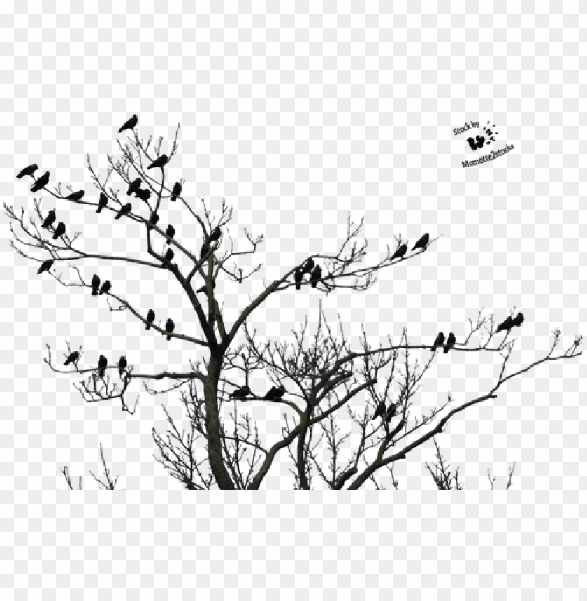 high resolution horror png clipart - tree birds transparent PNG image with  transparent background | TOPpng