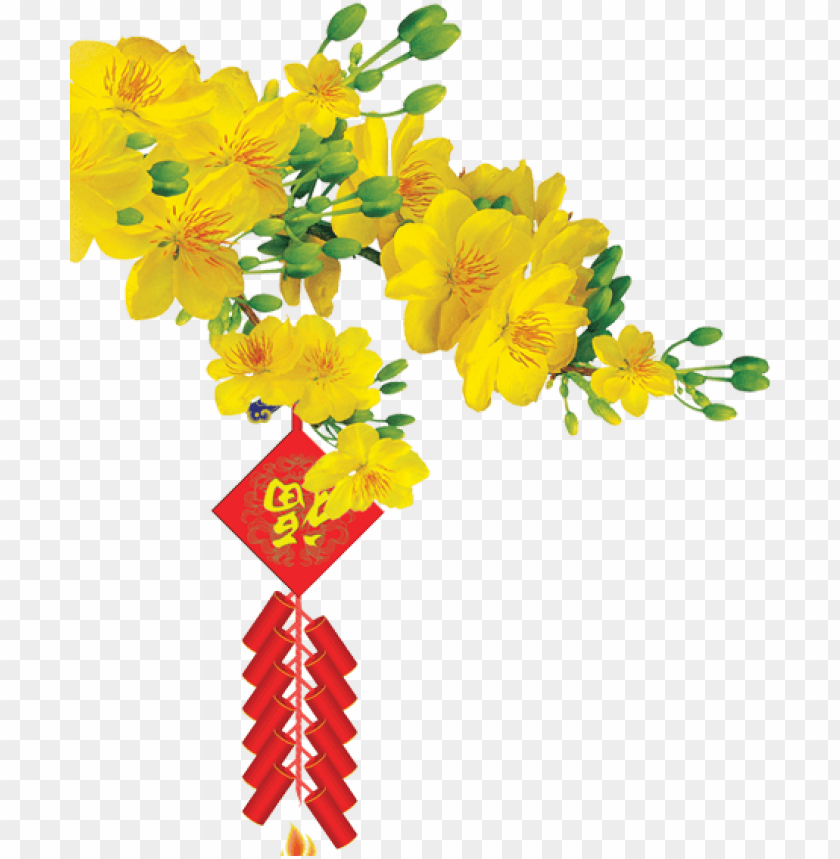 Hoa mai: Hãy cùng nhìn ngắm vẻ đẹp mộng mơ của hoa mai, một trong những loài hoa được yêu thích nhất trong văn hóa Việt Nam. Với những cánh hoa mềm mại và màu sắc trang nhã, hoa mai chính là biểu tượng cho sự phát triển của đất nước.