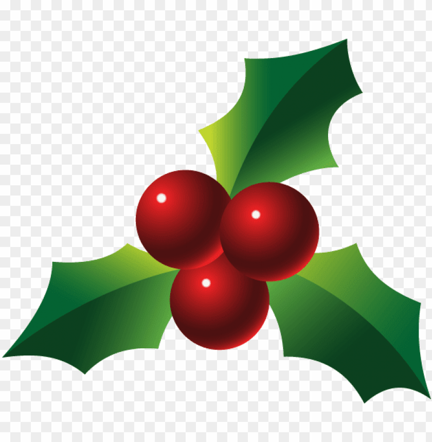 christmas-holly-berries-png-images-toppng
