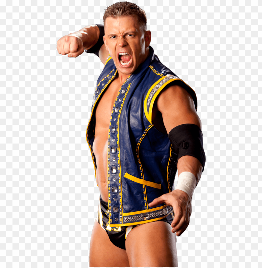 holy shit alex riley is everyone's doppelgänger - wwe alex riley PNG image with transparent background@toppng.com