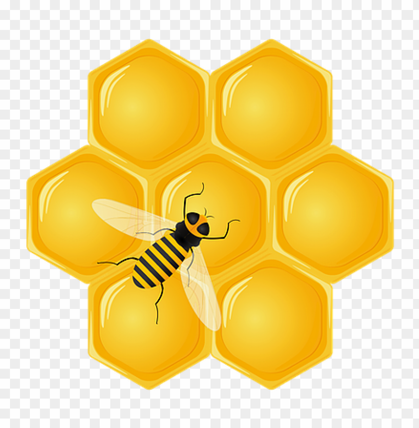 honey, food, honey food, honey food png file, honey food png hd, honey food png, honey food transparent png