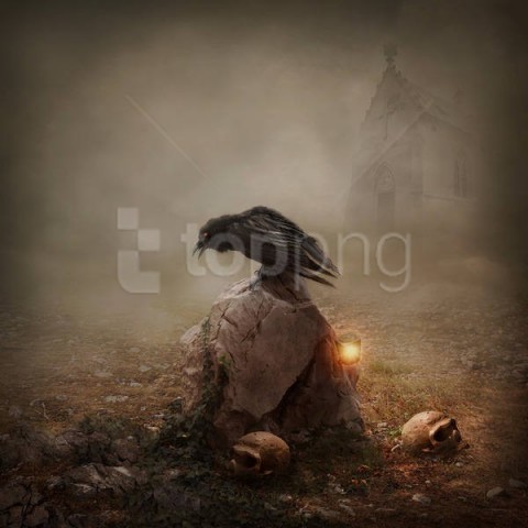 horrorwith crow background best stock photos - Image ID 59173