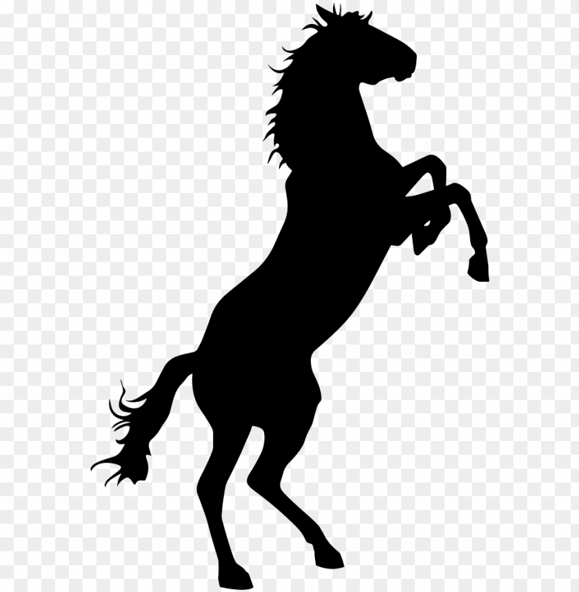horse head, horse, banner, rodeo, animal, bull, logo
