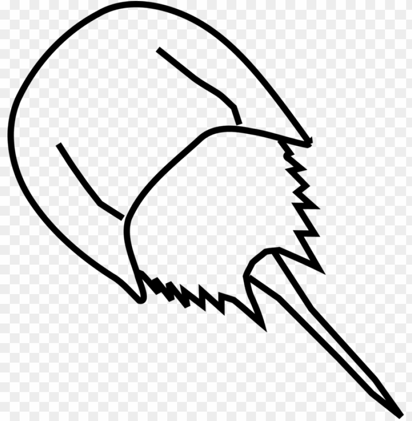 horseshoe crab drawing horseshoe crab drawing easy PNG transparent with Clear Background ID 284248