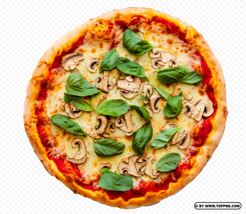 Hot Italian Food Rustic Vegetarian Pizza Transparent PNG
