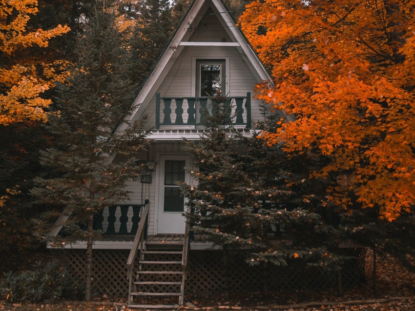 house, autumn, trees, solitude, comfort