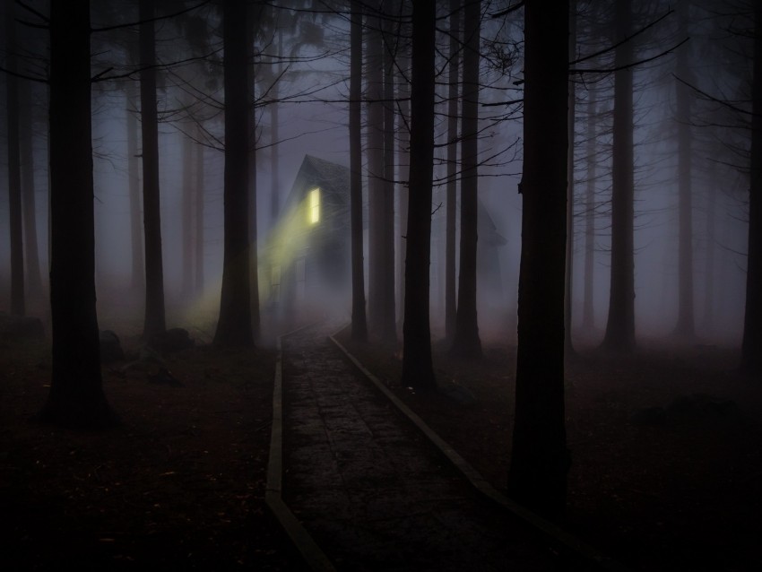 house, forest, fog, creepy, night
