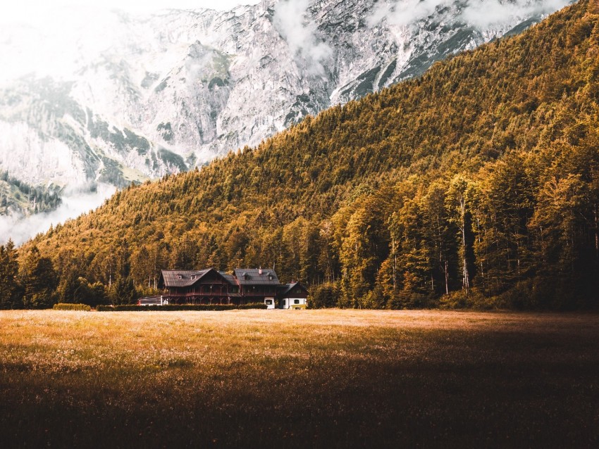 house, forest, mountains, lawn, nature