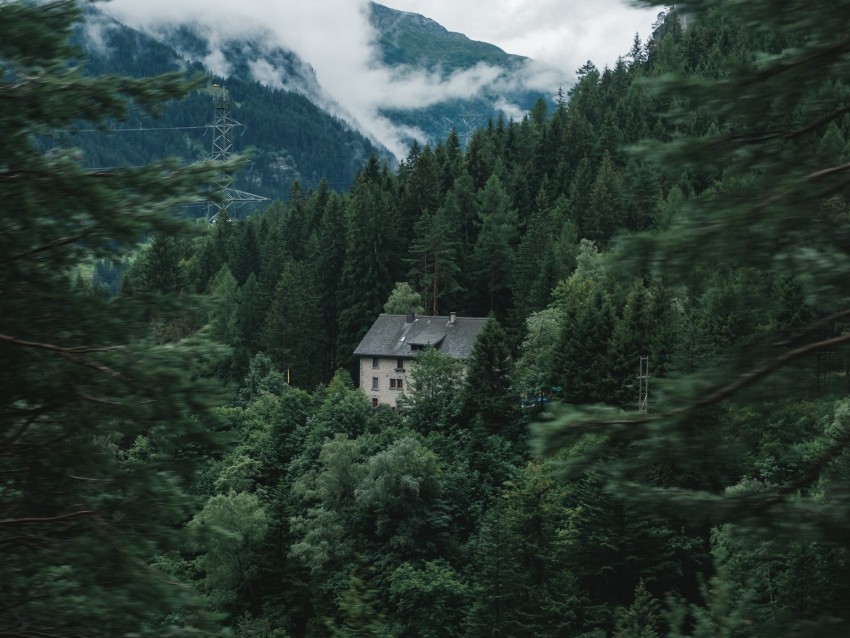 house, forest, mountains, trees, nature