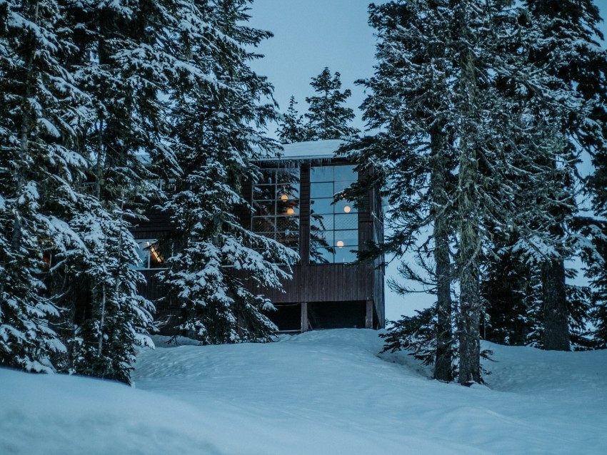 house, forest, snow, winter, trees