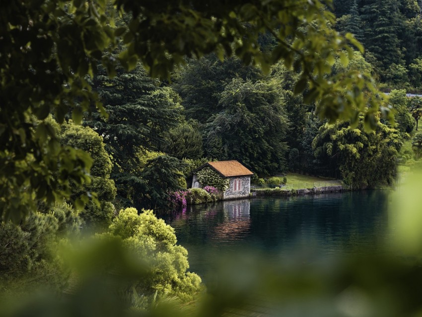 house, lake, trees, comfort