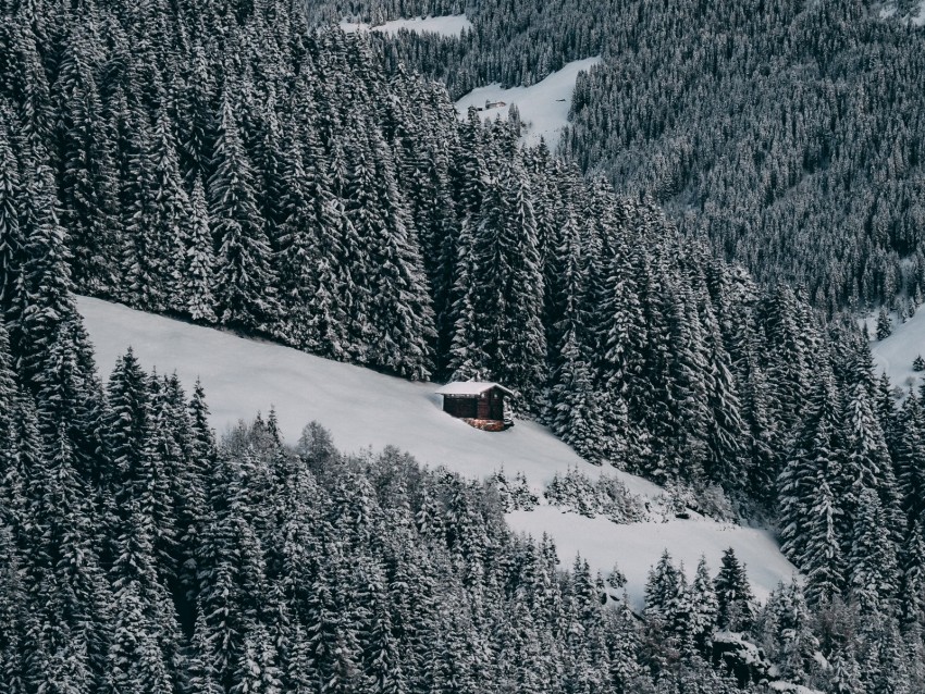 house, snow, hill, forest, winter, trees, sky