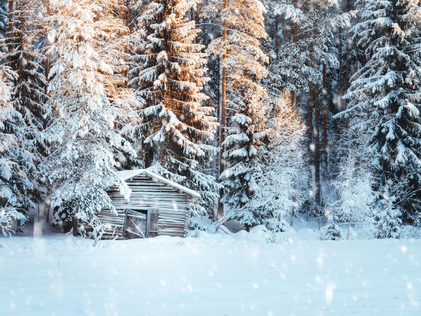 house, snow, trees, winter, snowfall, light