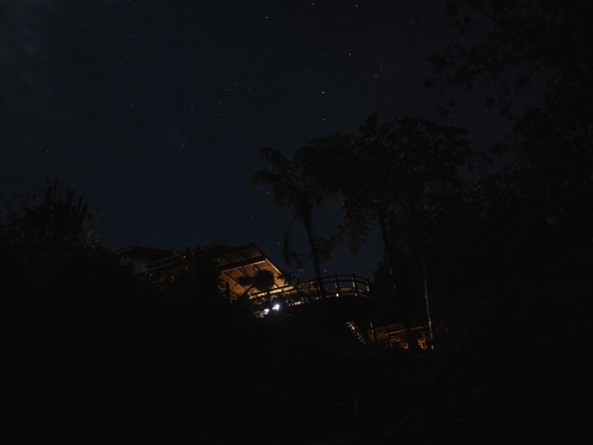 house, starry sky, palm trees, night