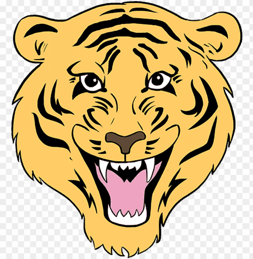 Tiger Face Drawing PNG and Tiger Face Drawing Transparent Clipart Free  Download. - CleanPNG / KissPNG