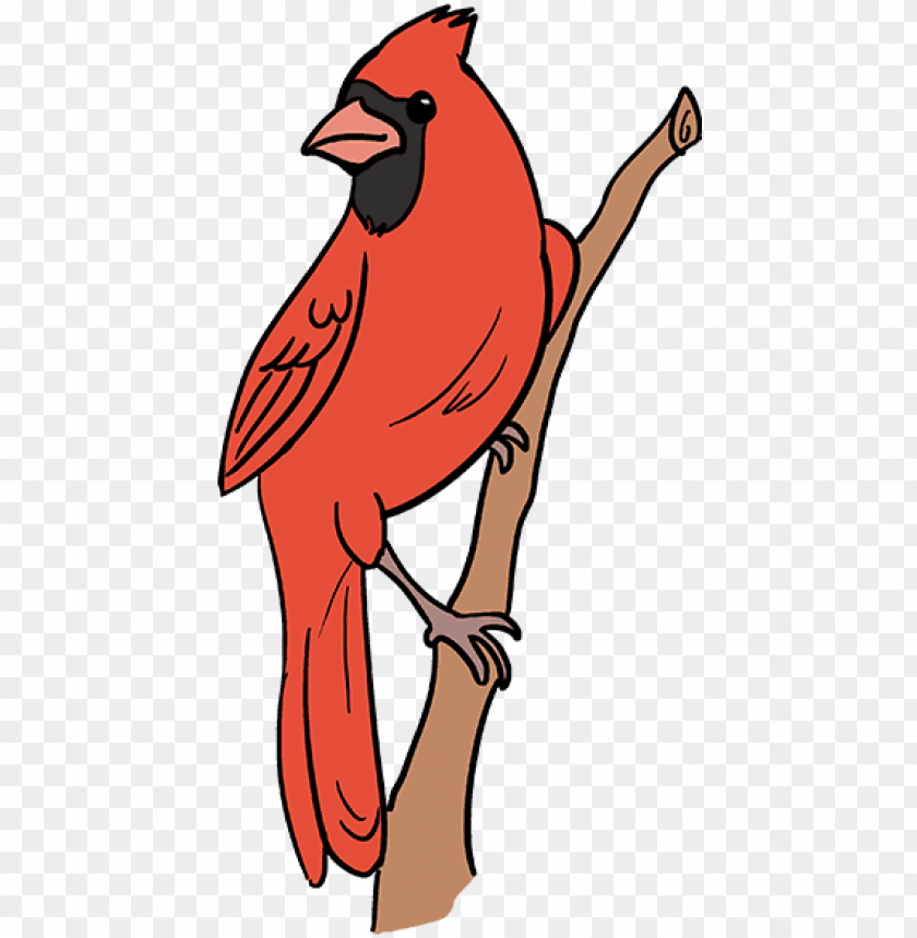 how to draw cardinal bird cartoon cardinal red bird 11563157930mlha11qnh0