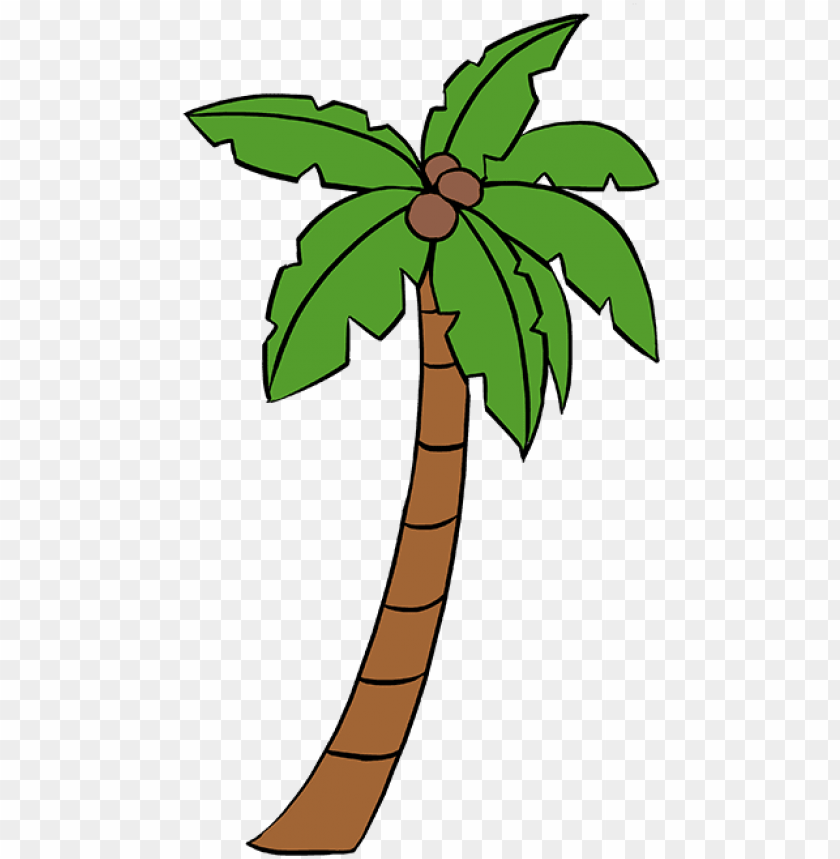 How To Draw Palm Tree - Palmetto Tree Easy To Draw PNG Transparent With Clear Background ID 236894