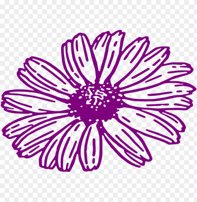 free PNG how to set use daisy svg vector PNG image with transparent background PNG images transparent